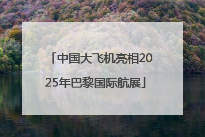 中国大飞机亮相2025年巴黎国际航展