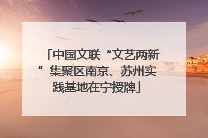 中国文联“文艺两新”集聚区南京、苏州实践基地在宁授牌