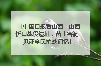 中国日报看山西｜山西忻口战役遗址：黄土窑洞见证全民抗战记忆