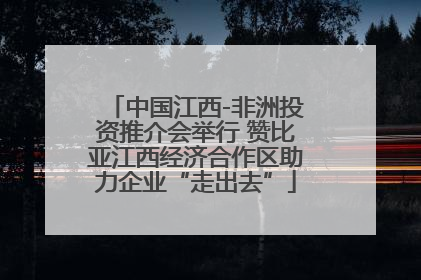 中国江西-非洲投资推介会举行 赞比亚江西经济合作区助力企业“走出去”