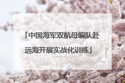 中国海军双航母编队赴远海开展实战化训练