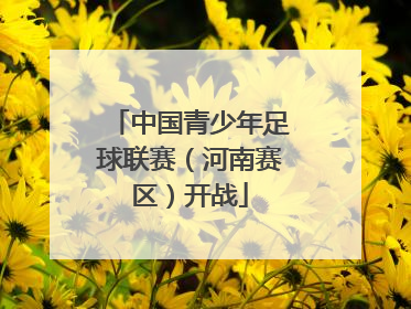 中国青少年足球联赛（河南赛区）开战