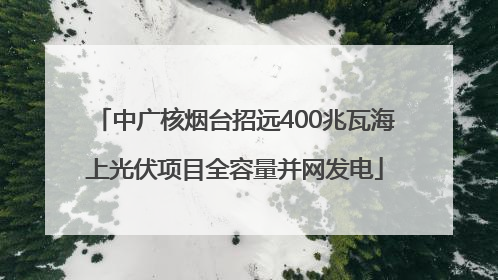中广核烟台招远400兆瓦海上光伏项目全容量并网发电