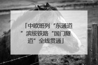 中欧班列“东通道”滨绥铁路“国门隧道”全线贯通