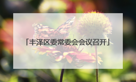 丰泽区委常委会会议召开