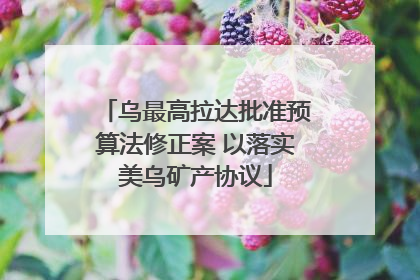 乌最高拉达批准预算法修正案 以落实美乌矿产协议