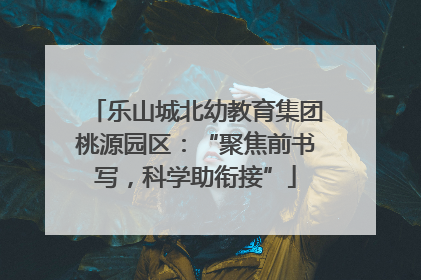 乐山城北幼教育集团桃源园区：“聚焦前书写，科学助衔接”
