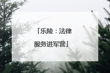 乐陵：法律服务进军营