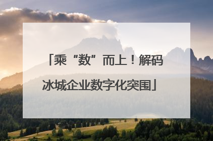 乘“数”而上！解码冰城企业数字化突围