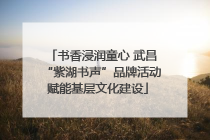 书香浸润童心 武昌“紫湖书声”品牌活动赋能基层文化建设