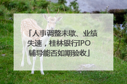 人事调整未歇、业绩失速，桂林银行IPO辅导能否如期验收