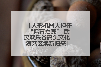 人形机器人担任“揭幕嘉宾” 武汉欢乐谷码头文化演艺区焕新归来