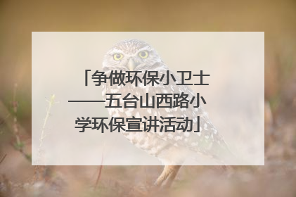 争做环保小卫士——五台山西路小学环保宣讲活动