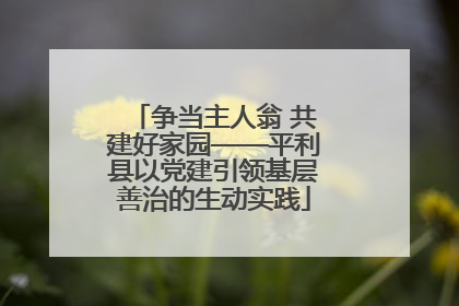 争当主人翁 共建好家园——平利县以党建引领基层善治的生动实践