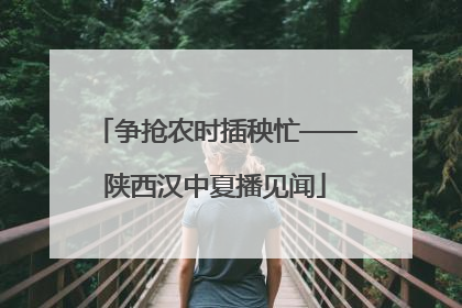 争抢农时插秧忙——陕西汉中夏播见闻