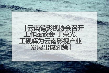 云南省影视协会召开工作座谈会 于荣光、王砚辉为云南影视产业发展出谋划策