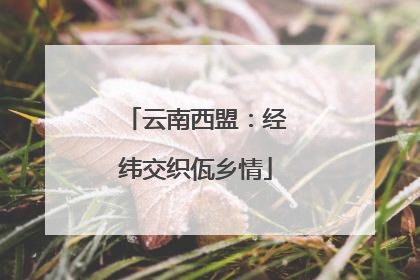 云南西盟：经纬交织佤乡情