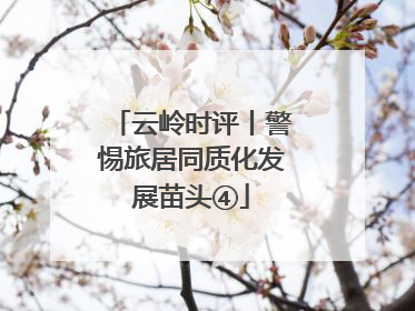 云岭时评丨警惕旅居同质化发展苗头④