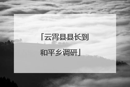 云霄县县长到和平乡调研