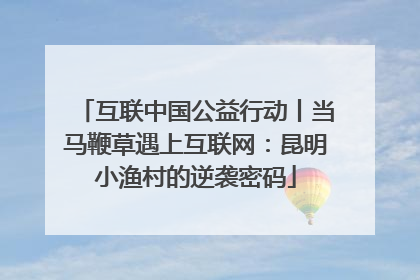 互联中国公益行动丨当马鞭草遇上互联网：昆明小渔村的逆袭密码
