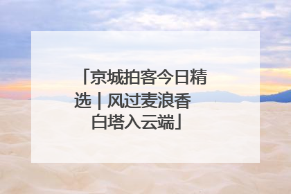 京城拍客今日精选｜风过麦浪香 白塔入云端