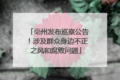 亳州发布巡察公告！涉及群众身边不正之风和腐败问题