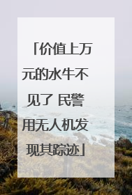 价值上万元的水牛不见了 民警用无人机发现其踪迹