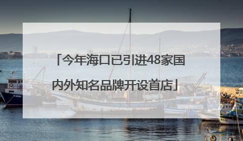 今年海口已引进48家国内外知名品牌开设首店
