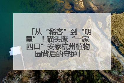 从“稀客”到“明星”！猫头鹰“一家四口”安家杭州植物园背后的守护