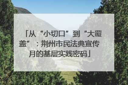 从“小切口”到“大覆盖”：荆州市民法典宣传月的基层实践密码