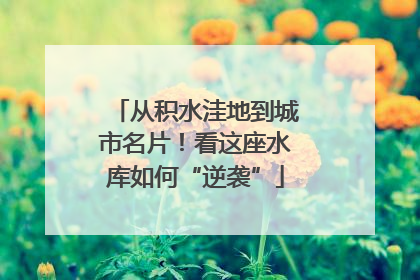 从积水洼地到城市名片！看这座水库如何“逆袭”
