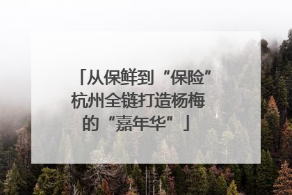从保鲜到“保险” 杭州全链打造杨梅的“嘉年华”