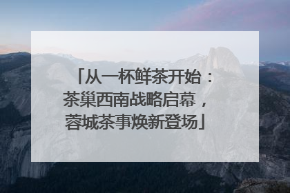从一杯鲜茶开始：茶巢西南战略启幕，蓉城茶事焕新登场