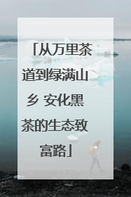 从万里茶道到绿满山乡 安化黑茶的生态致富路