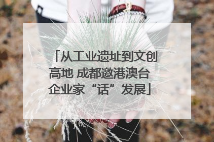 从工业遗址到文创高地 成都邀港澳台企业家“话”发展