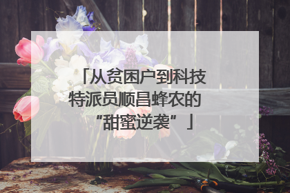 从贫困户到科技特派员顺昌蜂农的“甜蜜逆袭”