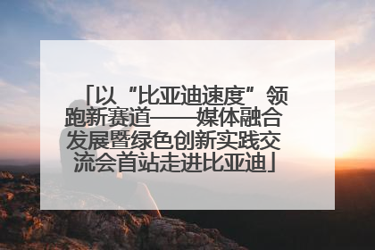 以“比亚迪速度”领跑新赛道——媒体融合发展暨绿色创新实践交流会首站走进比亚迪