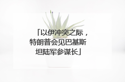 以伊冲突之际，特朗普会见巴基斯坦陆军参谋长