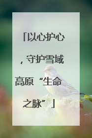 以心护心，守护雪域高原“生命之脉”