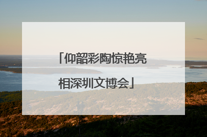 仰韶彩陶惊艳亮相深圳文博会