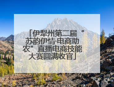 伊犁州第二届“苏韵伊情·电商助农”直播电商技能大赛圆满收官