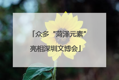 众多“菏泽元素”亮相深圳文博会