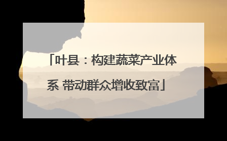 叶县：构建蔬菜产业体系 带动群众增收致富