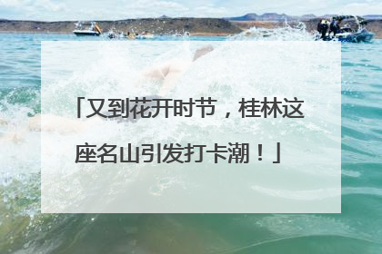 又到花开时节，桂林这座名山引发打卡潮！