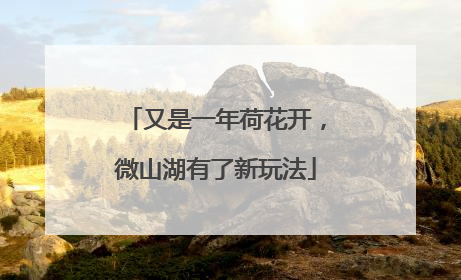 又是一年荷花开，微山湖有了新玩法