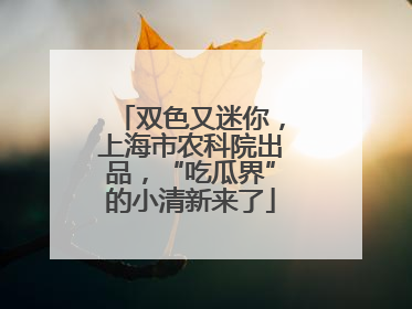 双色又迷你，上海市农科院出品，“吃瓜界”的小清新来了