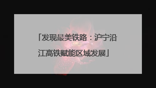 发现最美铁路：沪宁沿江高铁赋能区域发展