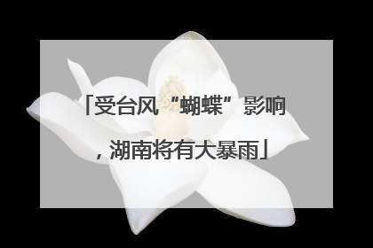 受台风“蝴蝶”影响，湖南将有大暴雨
