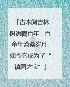 古木阅吉林 树语藏百年｜百余年沧桑岁月 如今它成为了“镇园之宝”