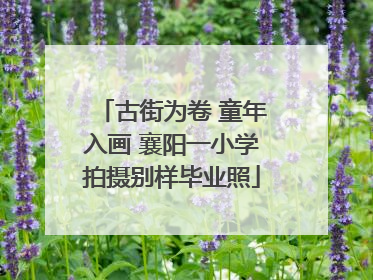 古街为卷 童年入画 襄阳一小学拍摄别样毕业照